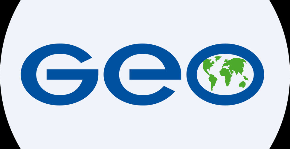 Geo Group Inc Q4 2024 Earnings Preview: Analysts Predict Decline Amid Mixed Performance and High Debt Levels